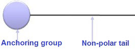 Low molecular weight wetting and dispersing agents